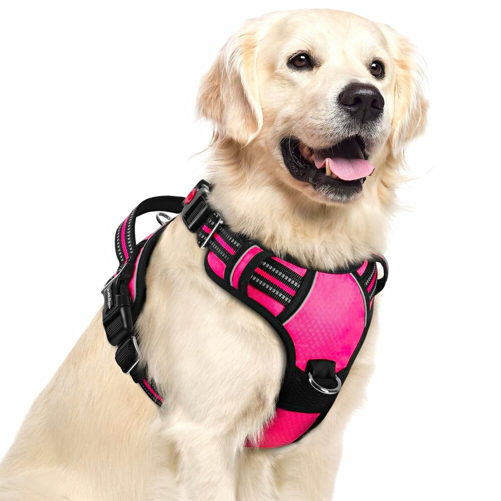 rabbitgoo No Pull Dog Harness Padded Adjustable Nylon Vest Pink/Black Size XL